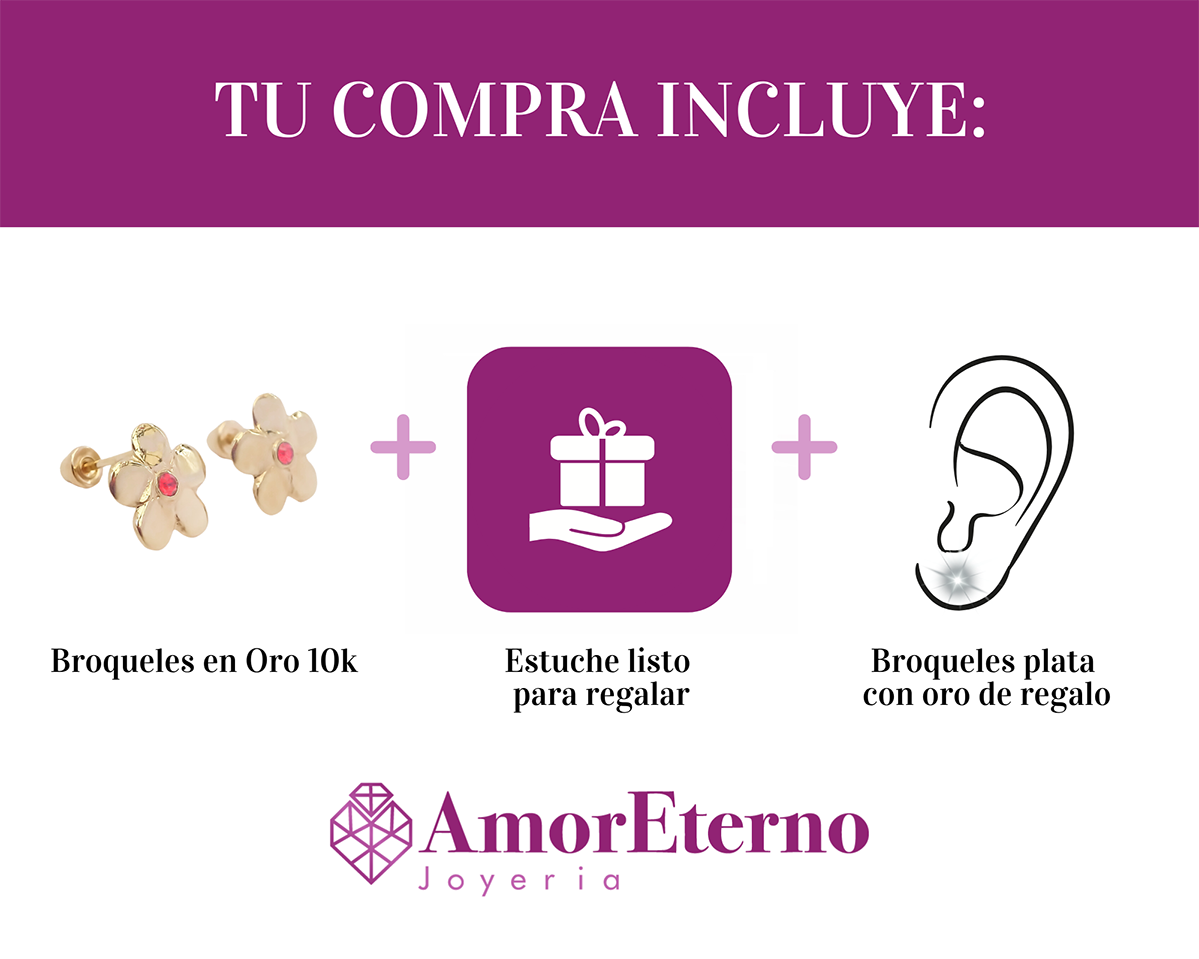 Amor Eterno - Broqueles Flor Destellito / Aretes Oro 10k