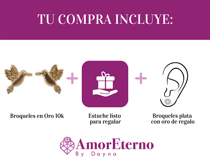 Amor Eterno - Broqueles Colibrí Fly Premium / Aretes Oro 10k