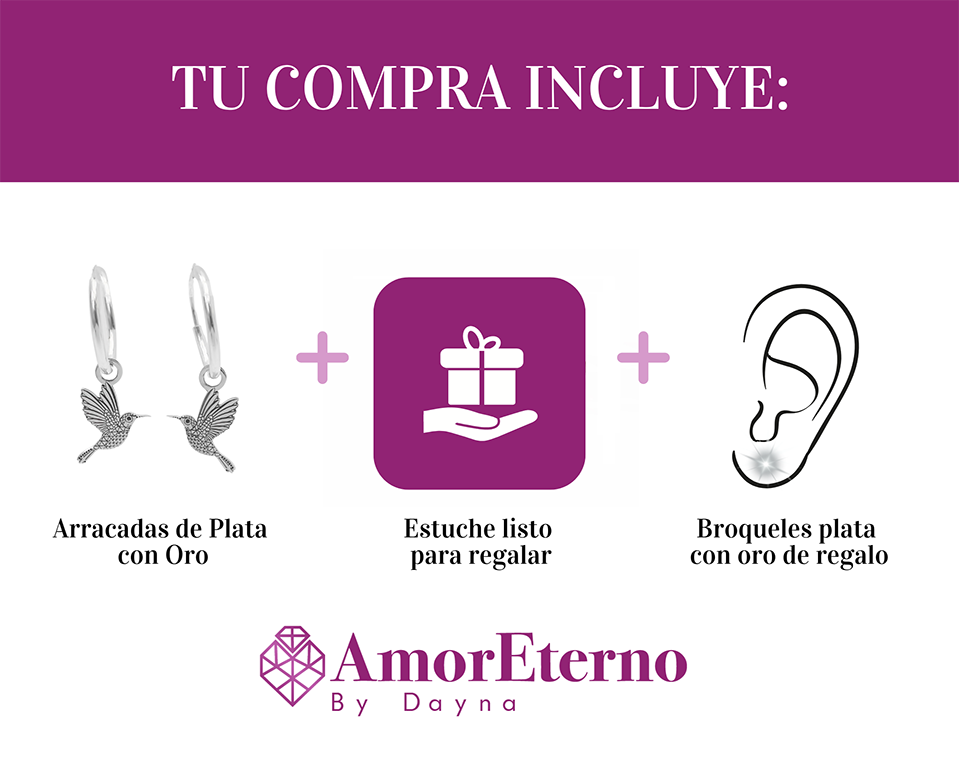 Amor Eterno - Colibrí Con Arracada / Plata Con Oro