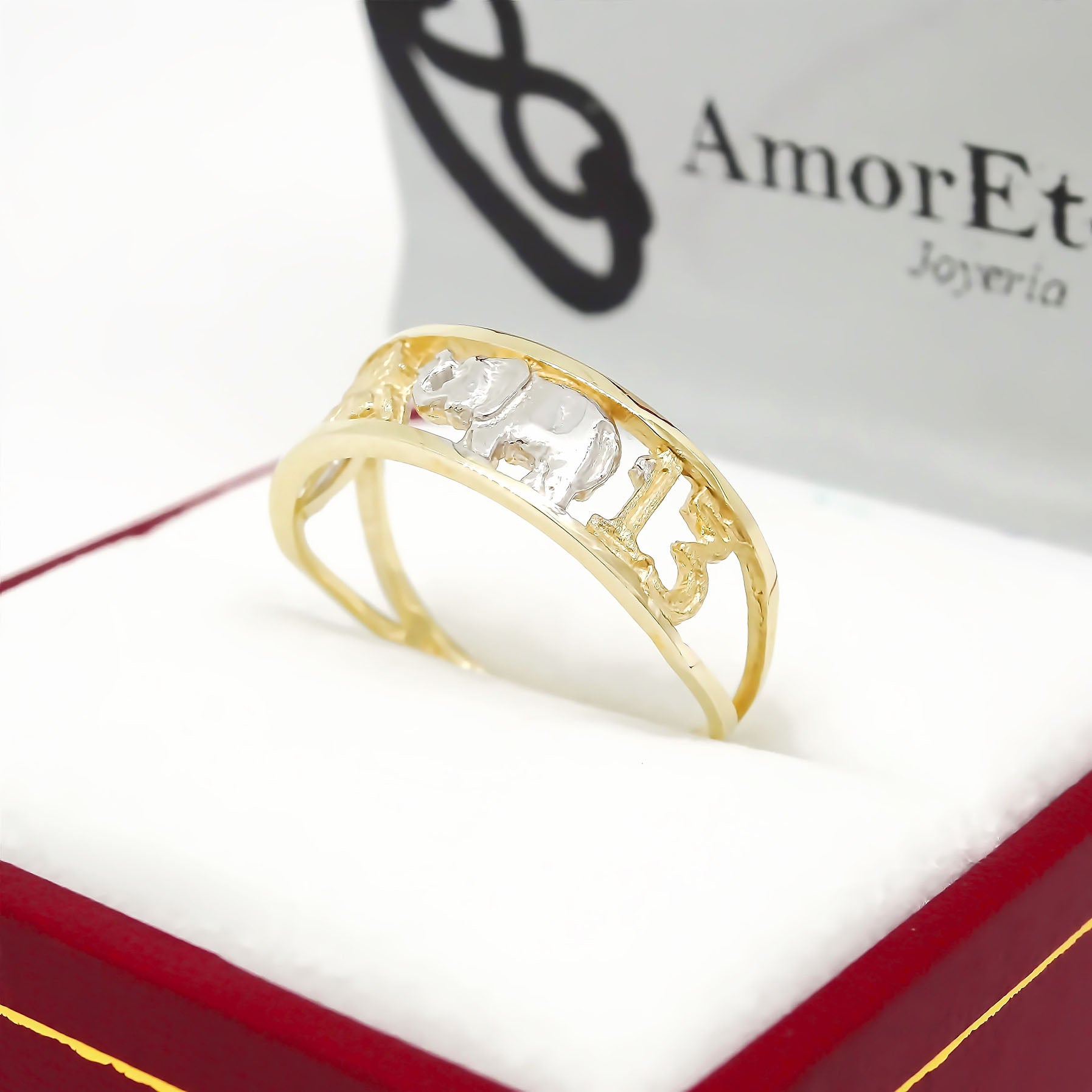 Anillo Buena Suerte Angosto 14K