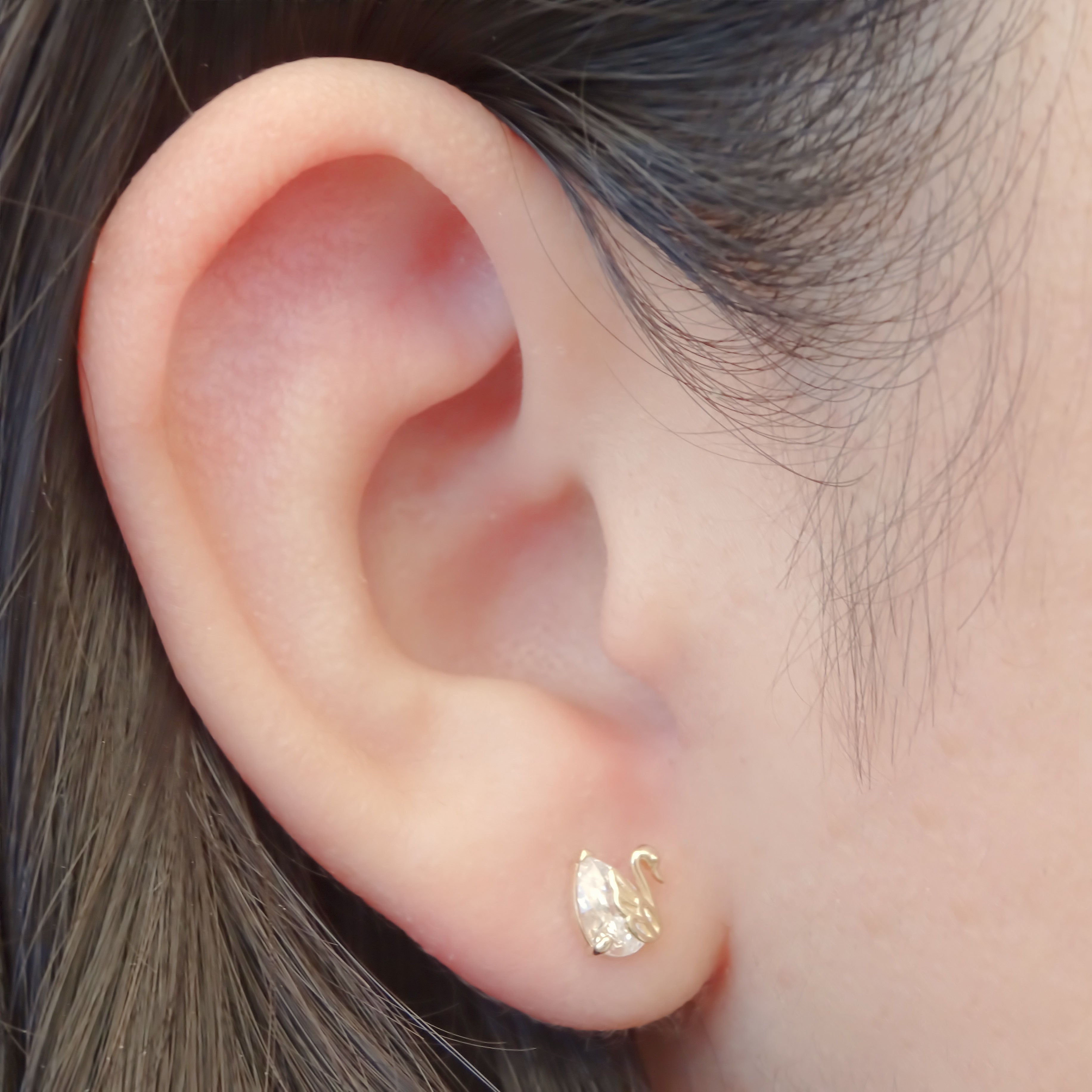 Amor Eterno - Broqueles Cisne Aretes / Oro 10k