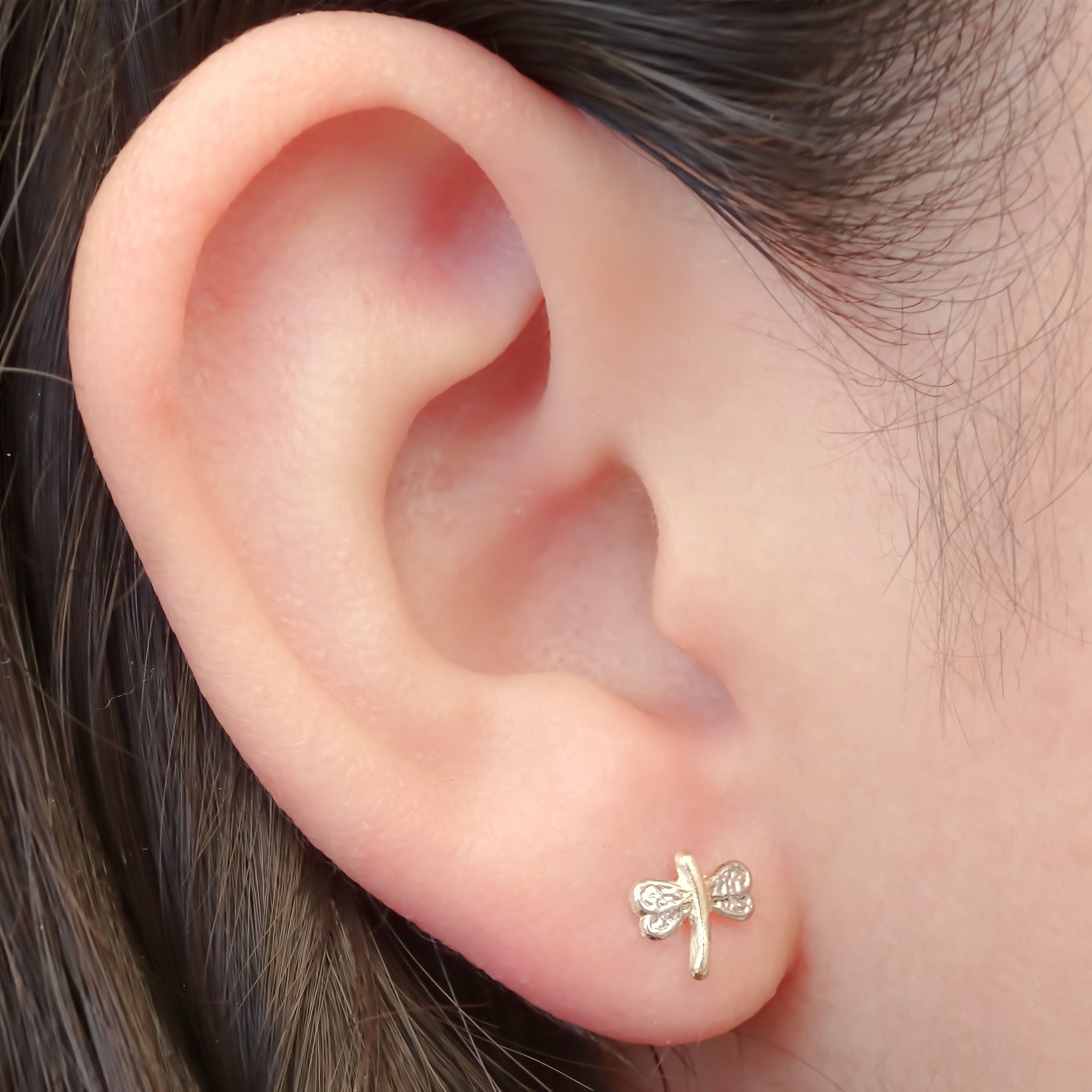 Amor Eterno - Broqueles Libélula Aretes / Oro 10k