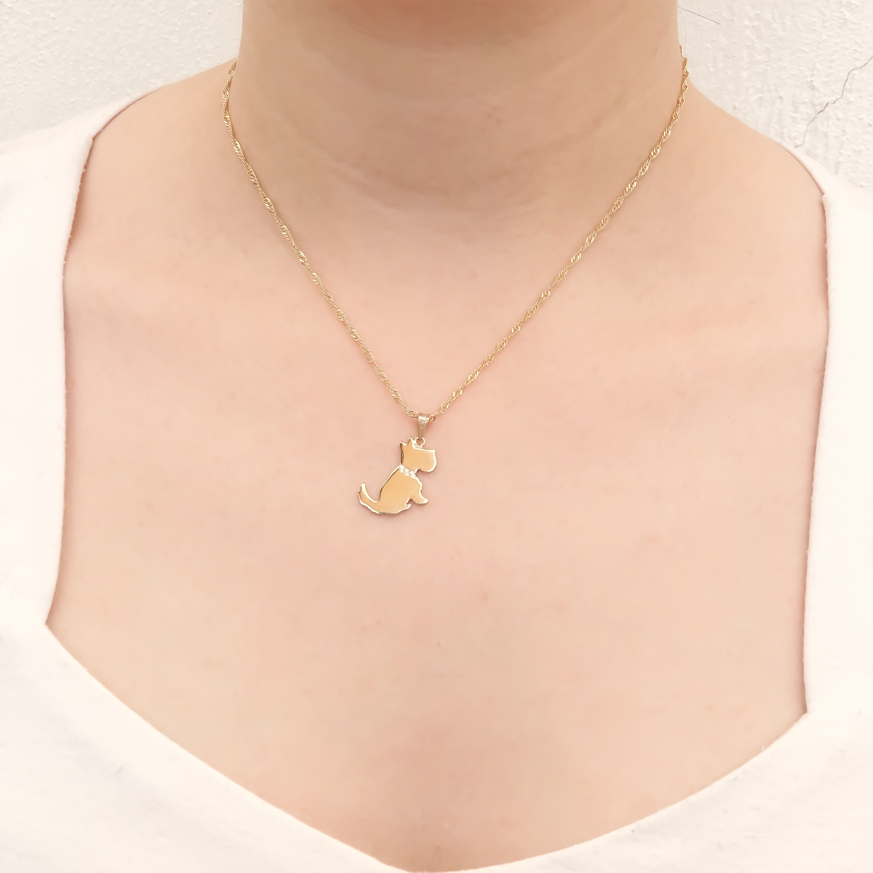 Amor Eterno - Dije Perrito Schnauzer Oro 14k + Cadena de Regalo