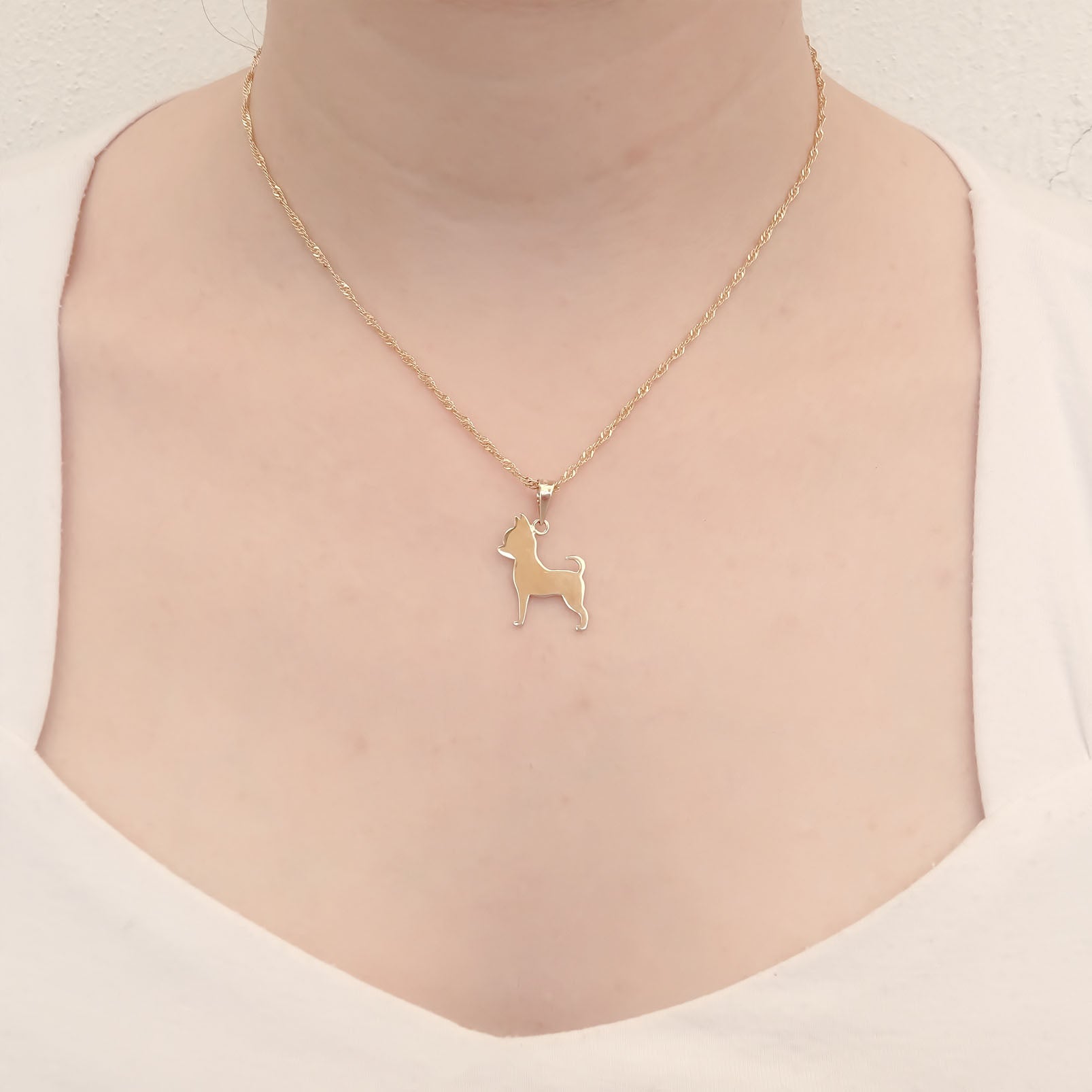 Amor Eterno - Dije Perrito Chihuahua Oro 14k + Cadena Regalo