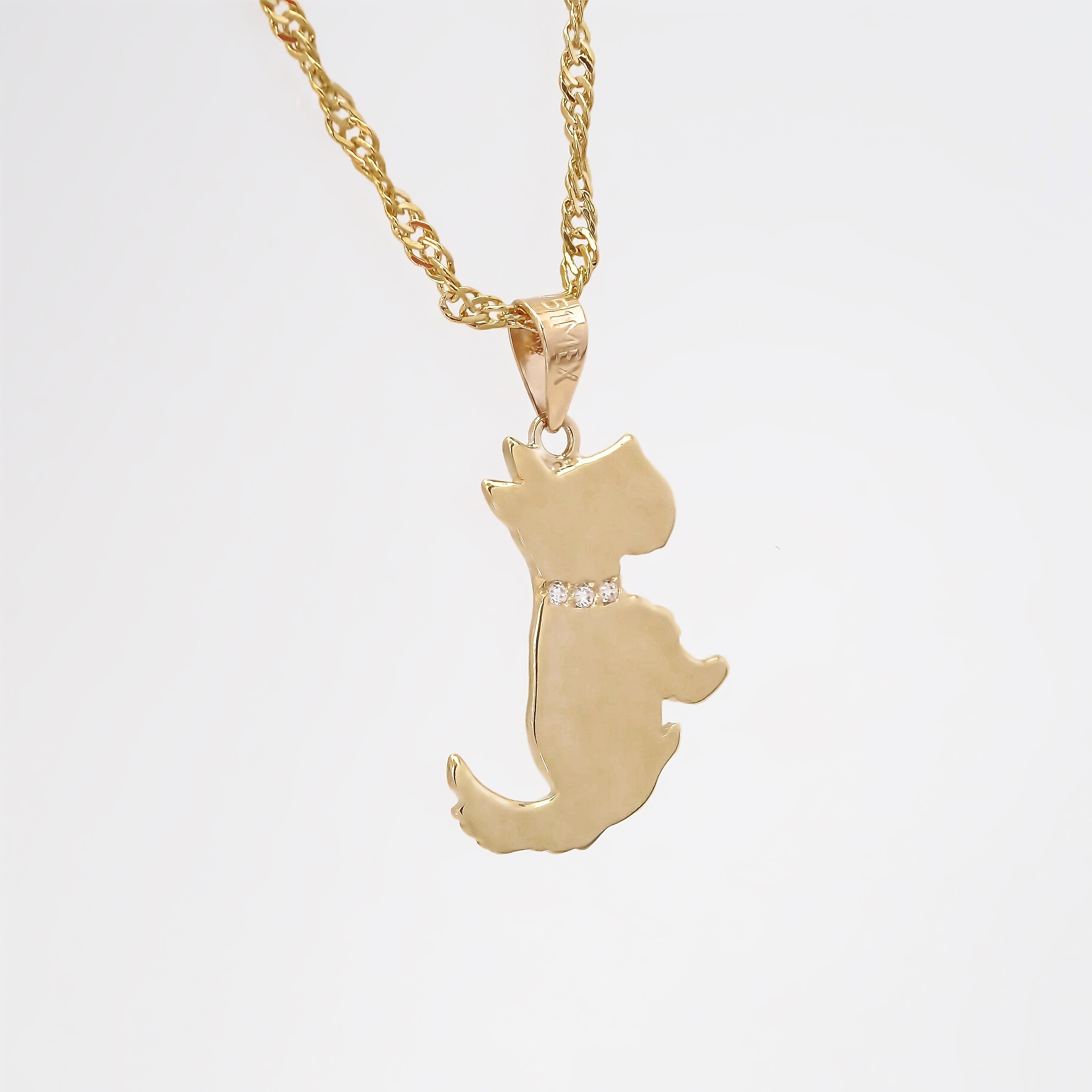 Amor Eterno - Dije Perrito Schnauzer Oro 14k + Cadena de Regalo