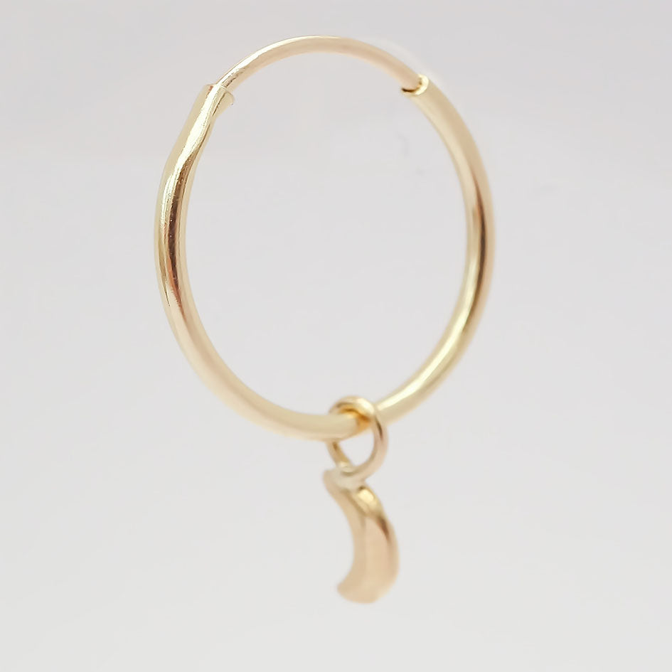 Amor Eterno - Dije con Arracada Luna / Oro 10k + Regalo