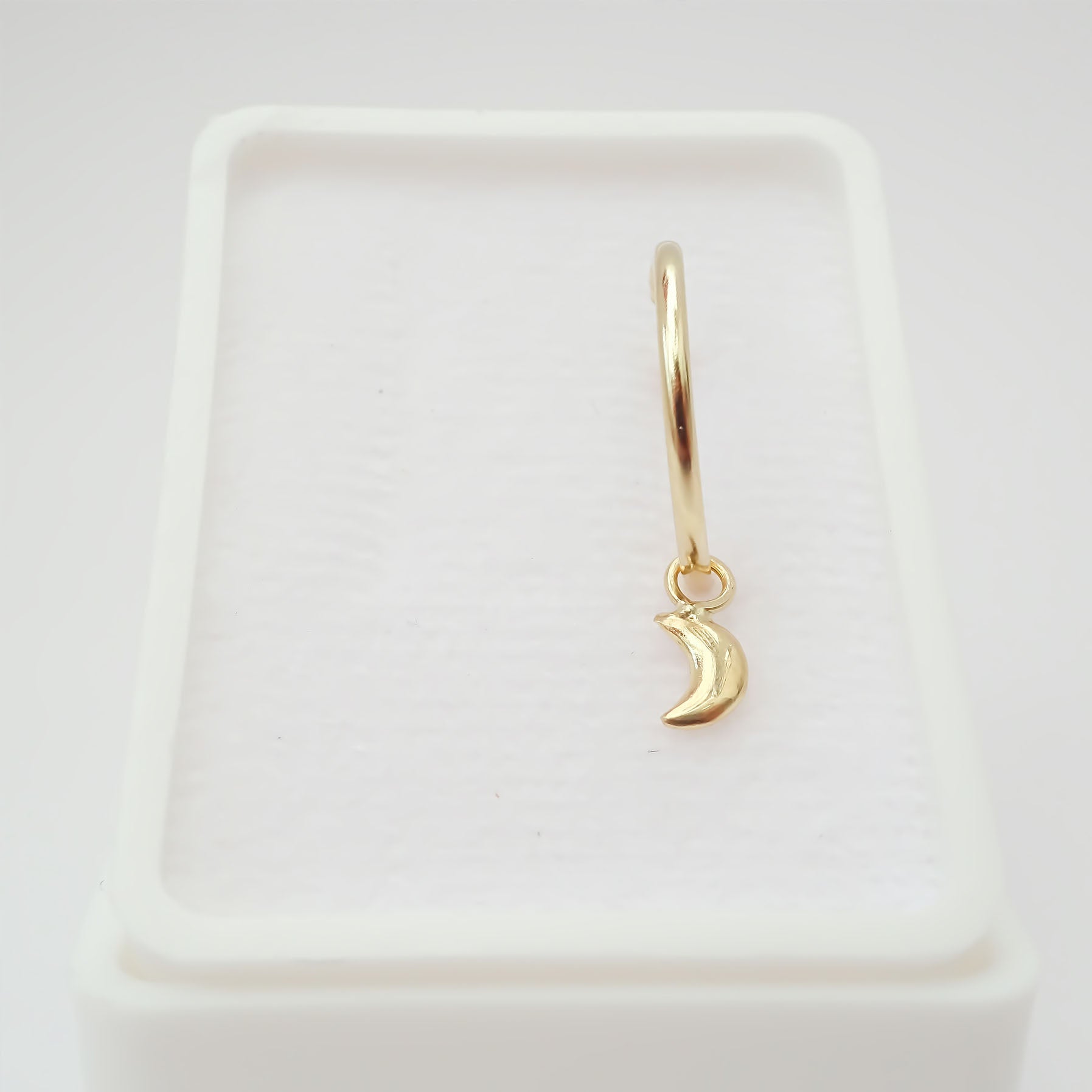 Amor Eterno - Dije con Arracada Luna / Oro 10k + Regalo