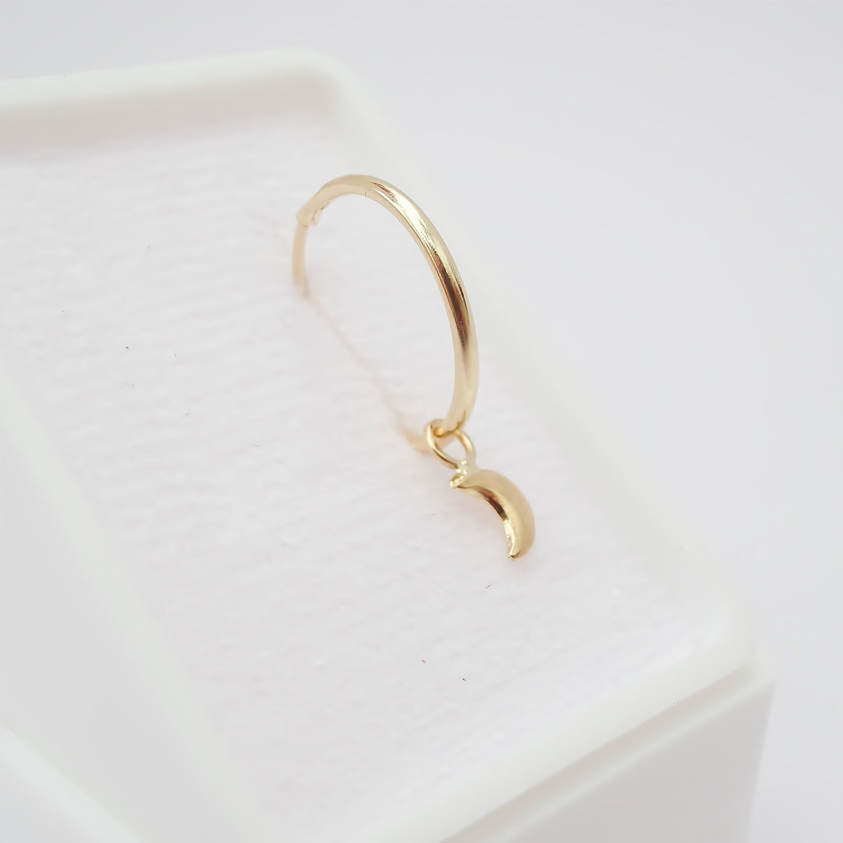 Amor Eterno - Dije con Arracada Luna / Oro 10k + Regalo