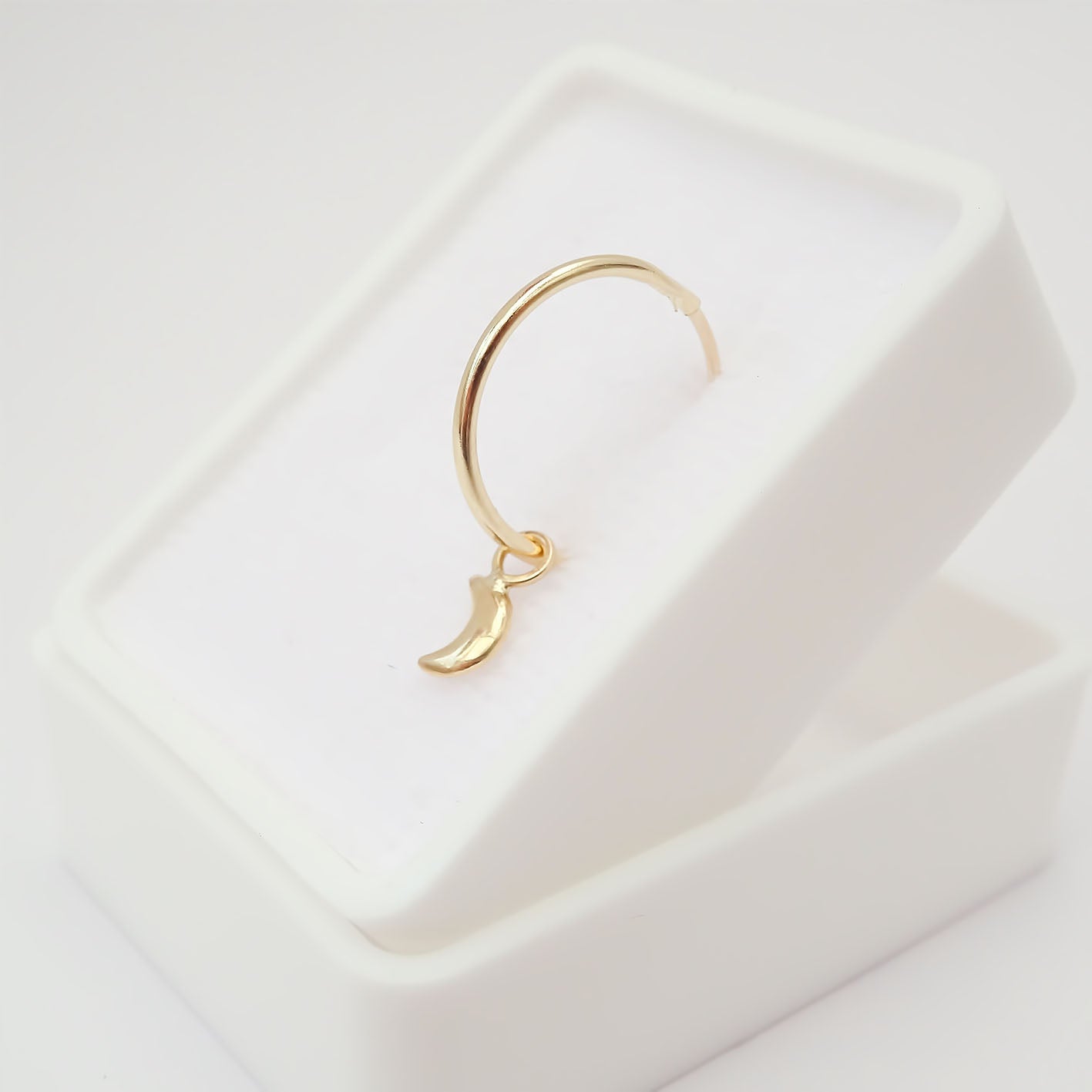 Amor Eterno - Dije con Arracada Luna / Oro 10k + Regalo