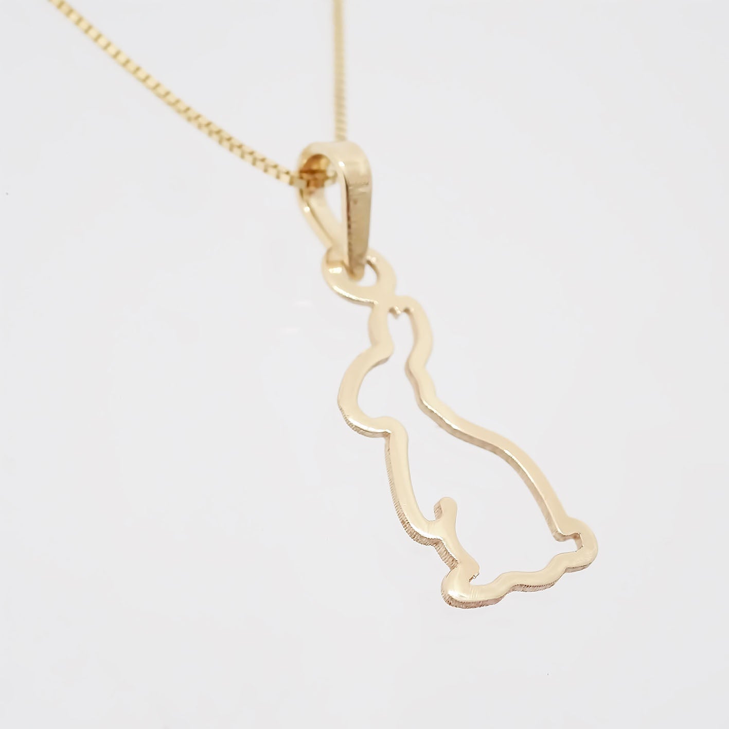 Amor Eterno - Dije Y Cadena / Liebre / Oro Sólido 10k