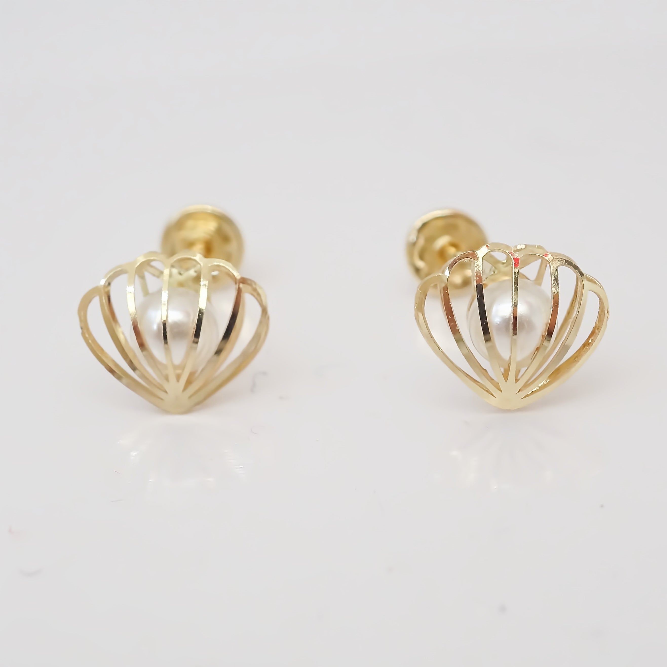 Amor Eterno - Broqueles Concha Perla Ostra Aretes / Oro 10k