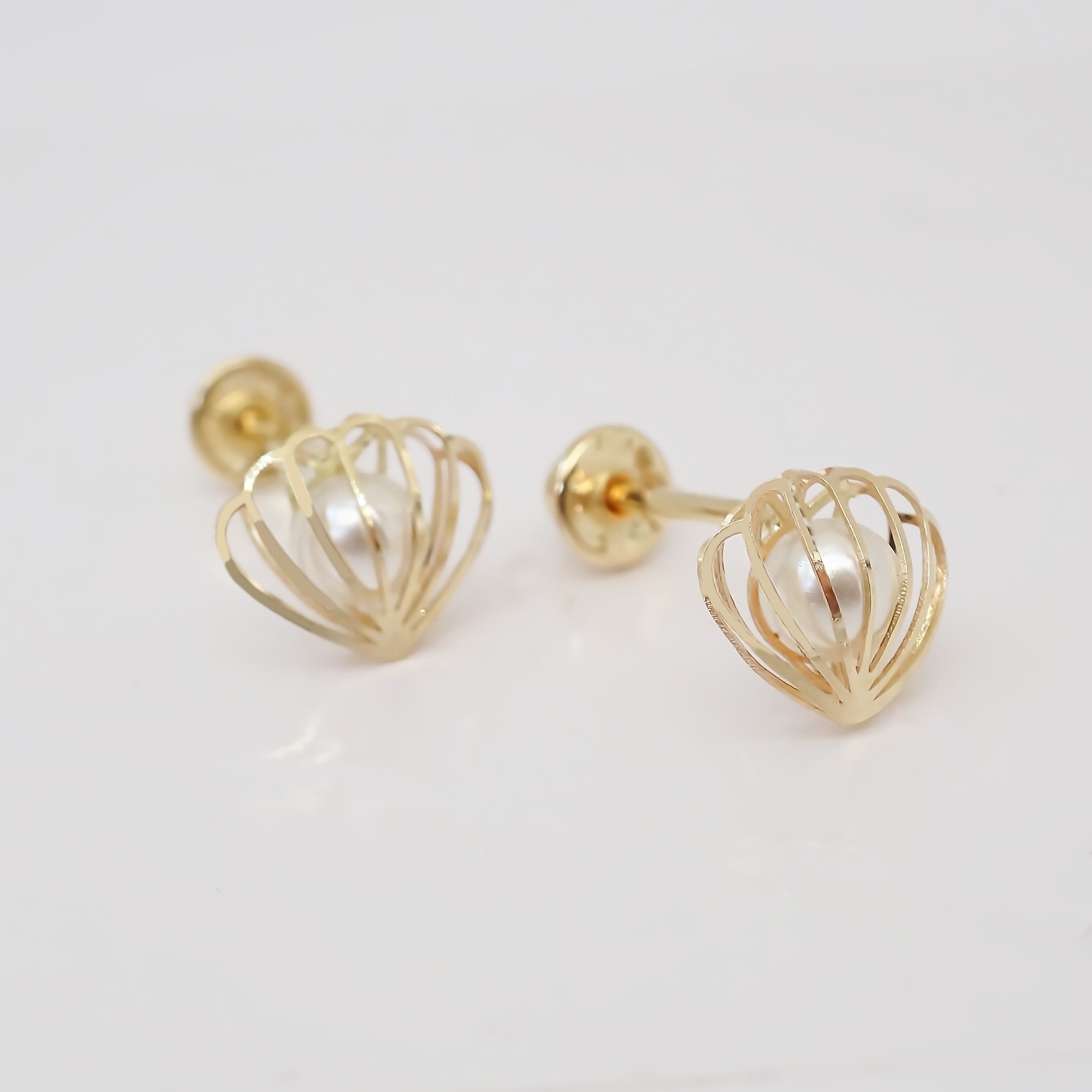 Amor Eterno - Broqueles Concha Perla Ostra Aretes / Oro 10k