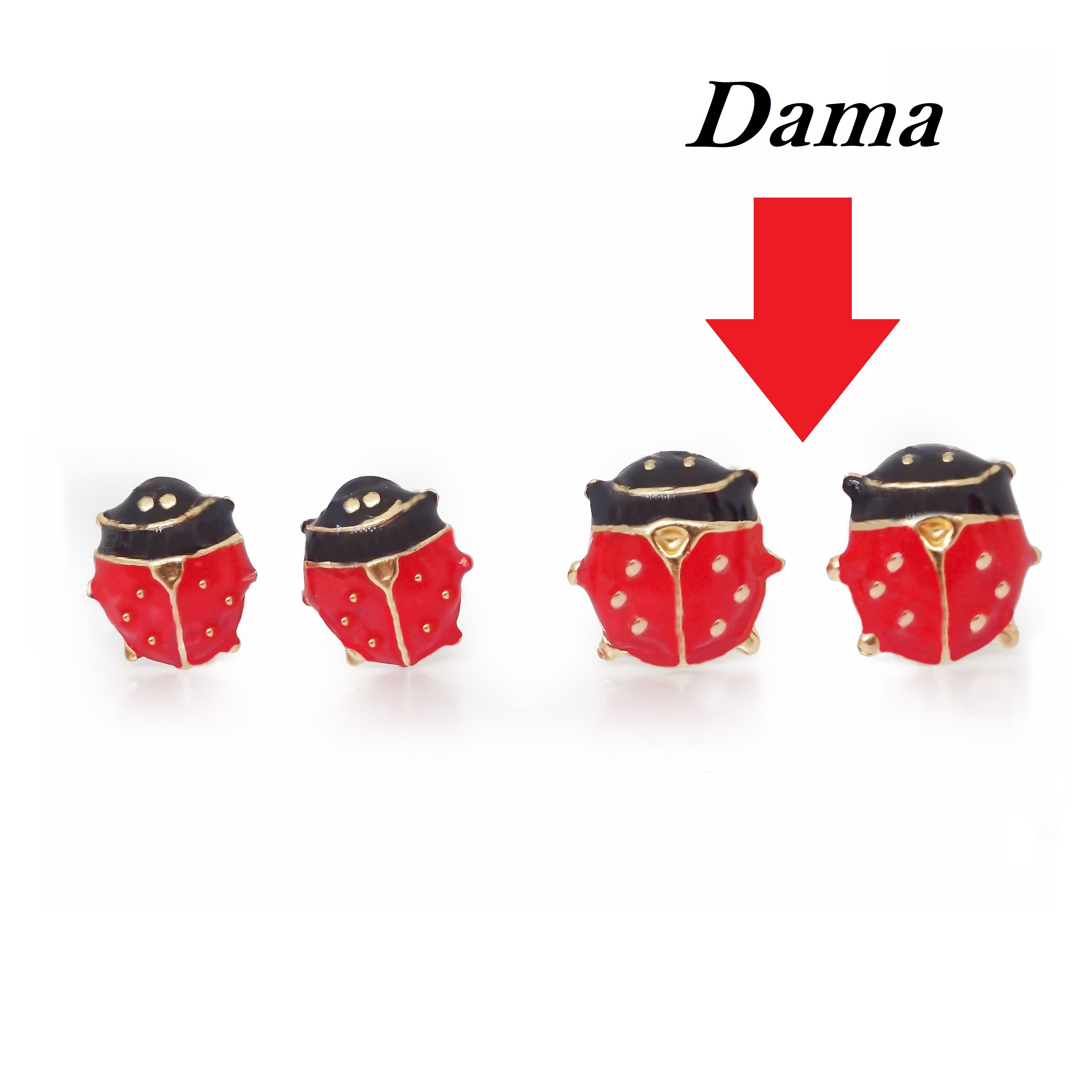 Amor Eterno - Broqueles Catarina Grande Aretes / Oro 10k