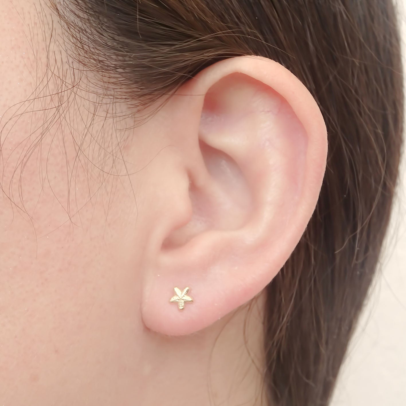 Amor Eterno - Broqueles Estrella Mar Mini / Aretes / Oro 10k