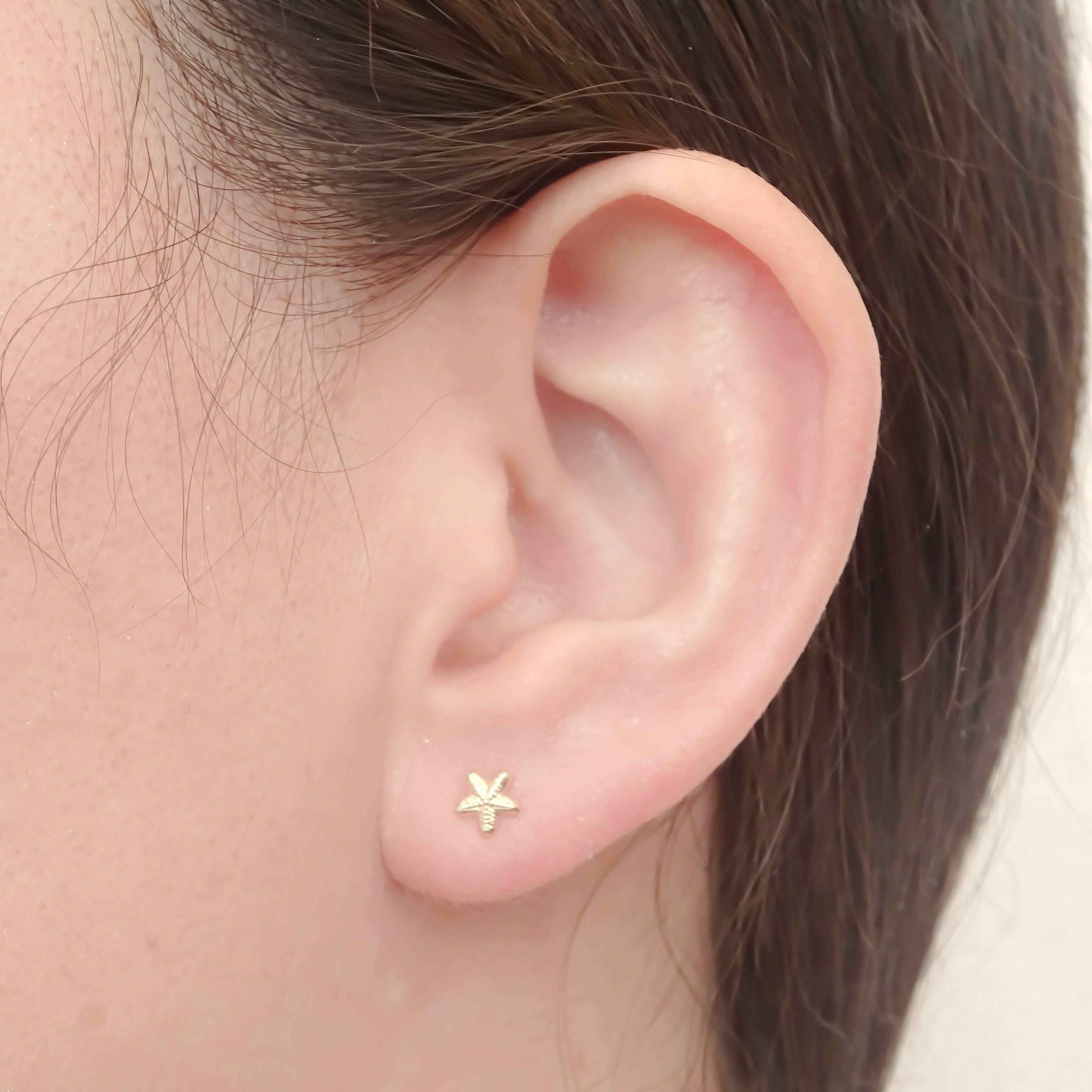 Amor Eterno - Broqueles Estrella Mar Mini / Aretes / Oro 10k