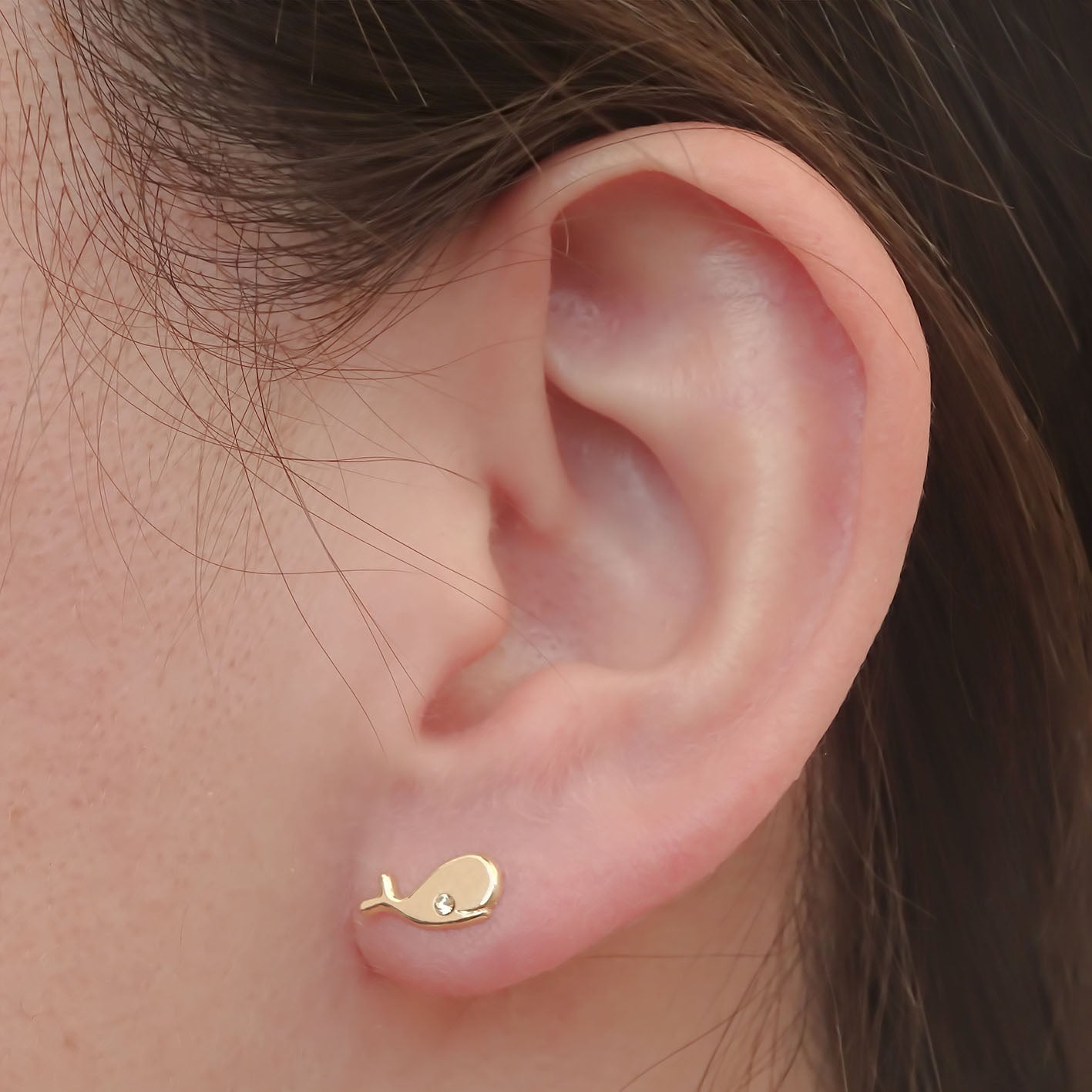 Amor Eterno - Broqueles Ballena / Aretes / Oro 10k