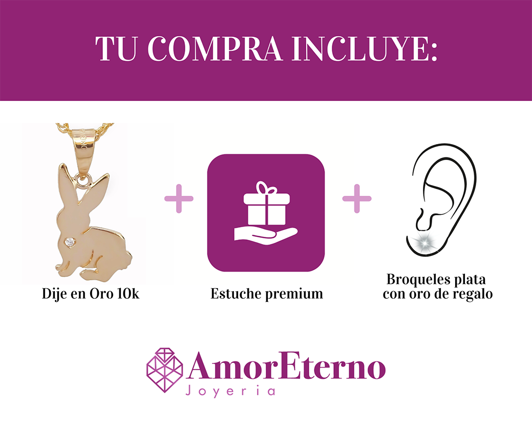 Amor Eterno - Dije Conejo Oro Sólido 10k + Cadena Regalo