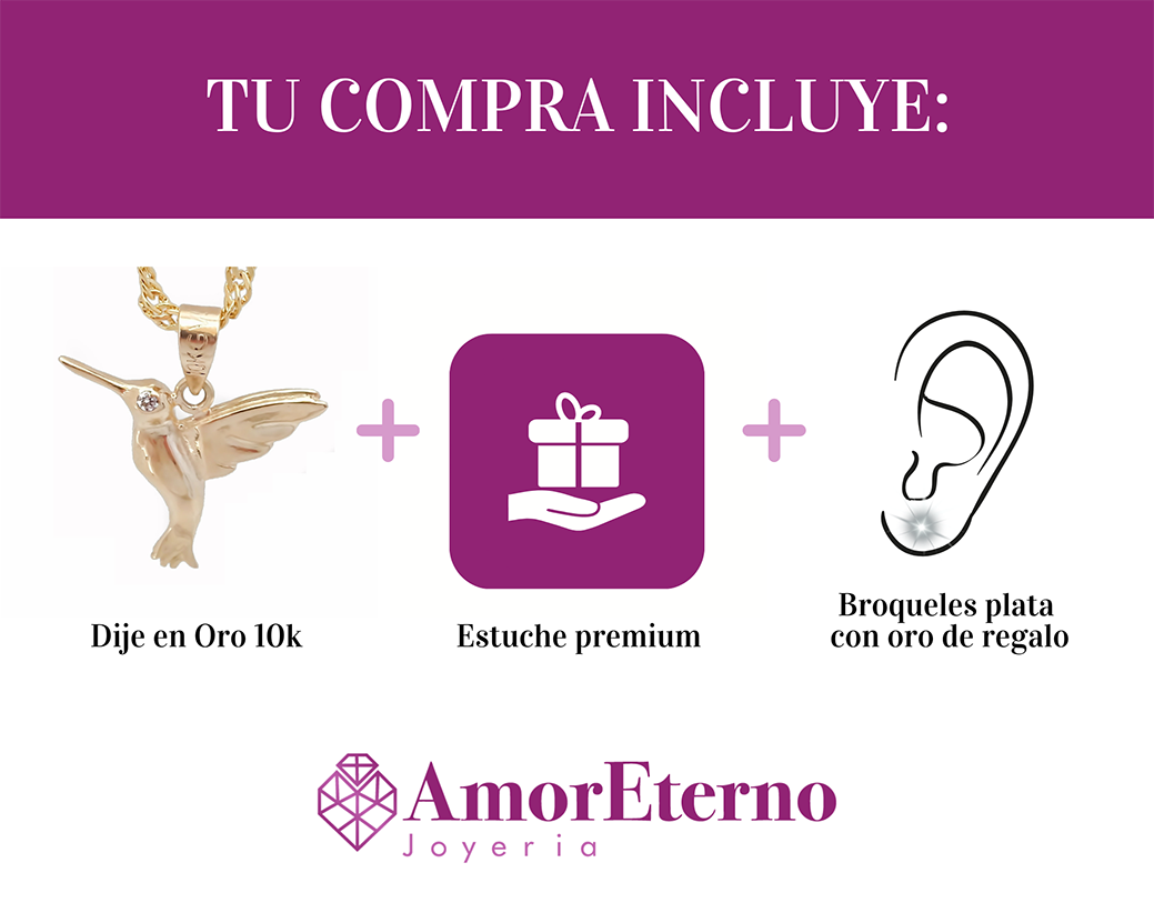 Amor Eterno - Dije Colibrí Oro Sólido 10k + Cadena Regalo