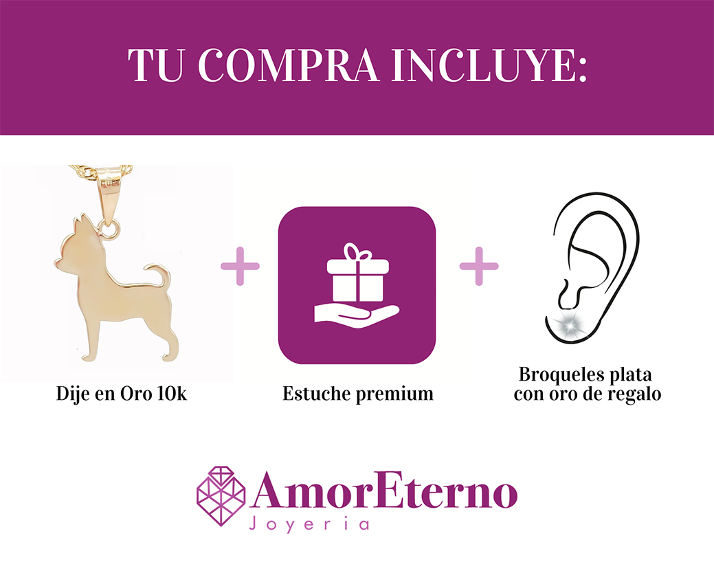 Amor Eterno - Dije Perrito Chihuahua Oro 14k + Cadena Regalo