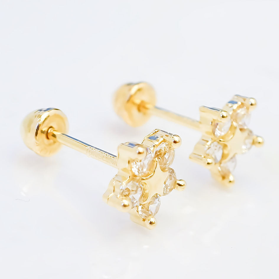 Amor Eterno - Broqueles / Flor Estrella / Aretes / Oro 10k