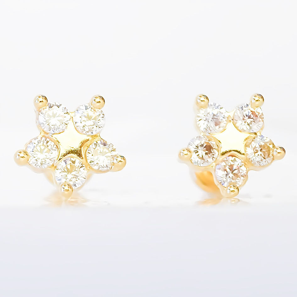 Amor Eterno - Broqueles / Flor Estrella / Aretes / Oro 10k