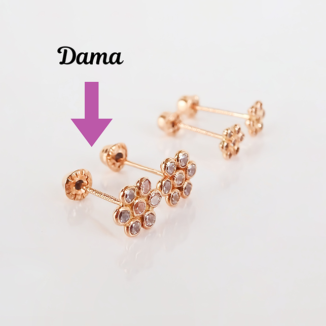 Amor Eterno - Broqueles Roseta / Aretes Oro 10k / Rosa