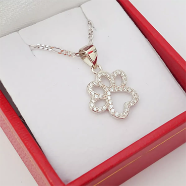 Amor Eterno - Cadena Collar Plata Oro 24k / Huella Perro