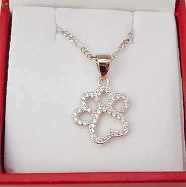 Amor Eterno - Cadena Collar Plata Oro 24k / Huella Perro