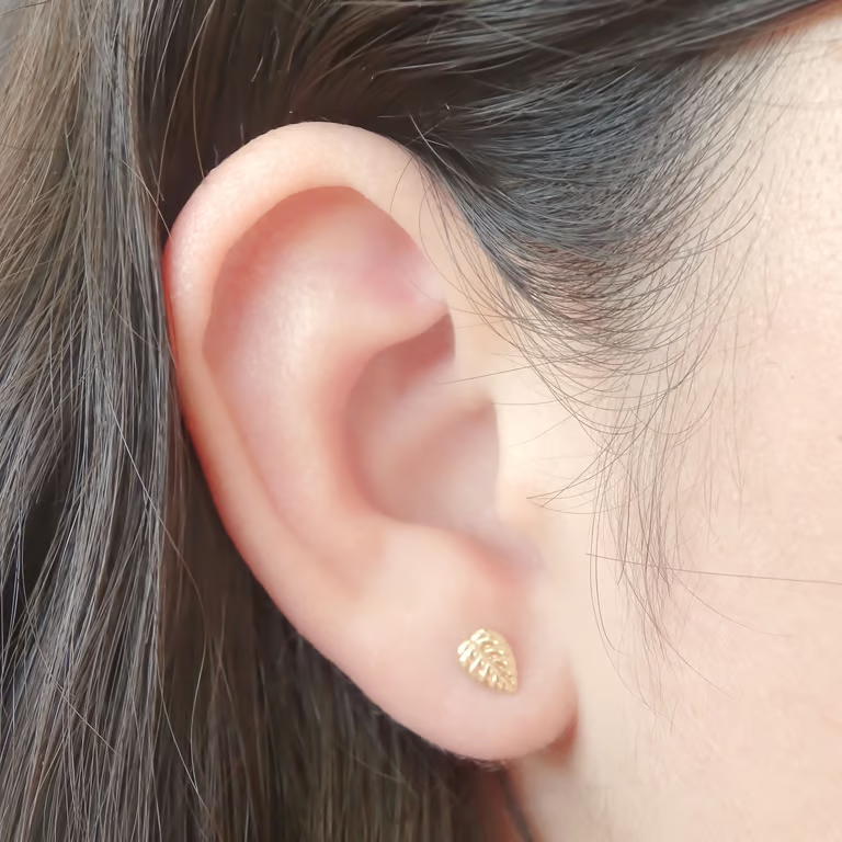 Amor Eterno - Broqueles Hoja / Aretes Oro 10k
