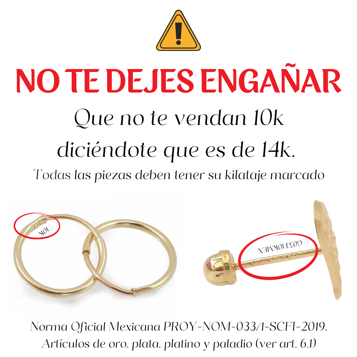 Amor Eterno - Broqueles Círculo / Aretes / Oro Sólido 10k