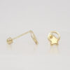 Amor Eterno - Broqueles Circulo Estrella / Aretes / Oro 10k - Imagen 5