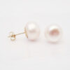 Amor Eterno - Broqueles Elegantes / Perla 9mm Aretes Oro 10k - Imagen 5