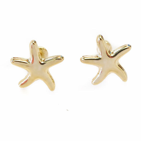 Amor Eterno - Broqueles Estrellita De Mar / Aretes / Oro 10k