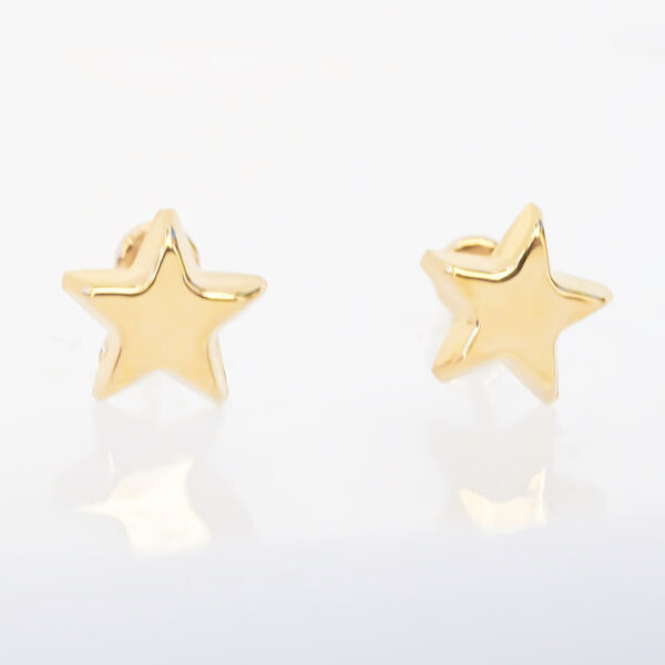 Amor Eterno - Broqueles / Estrella Basic / Aretes Oro 10k - Imagen 3