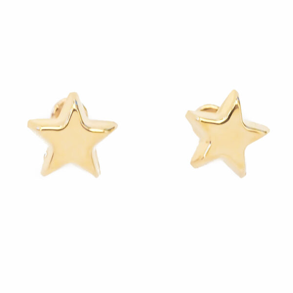 Amor Eterno - Broqueles / Estrella Basic / Aretes Oro 10k