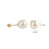 Amor Eterno - Broqueles / Perla Chica 6mm / Aretes Oro 10k - Imagen 2