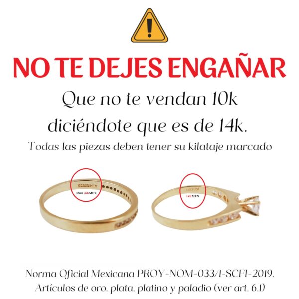 Amor Eterno - Anillo Victoria / Oro 10k Sólido / Amarillo - Imagen 2