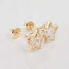 Amor Eterno - Broqueles Estrella Bisel / Aretes Oro 10k - Imagen 5