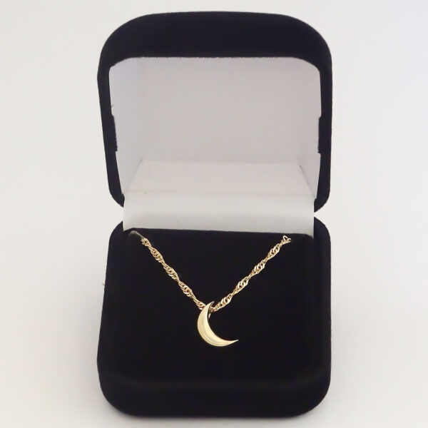 Amor Eterno - Dije Luna Basic / Oro Sólido 10k - Imagen 6